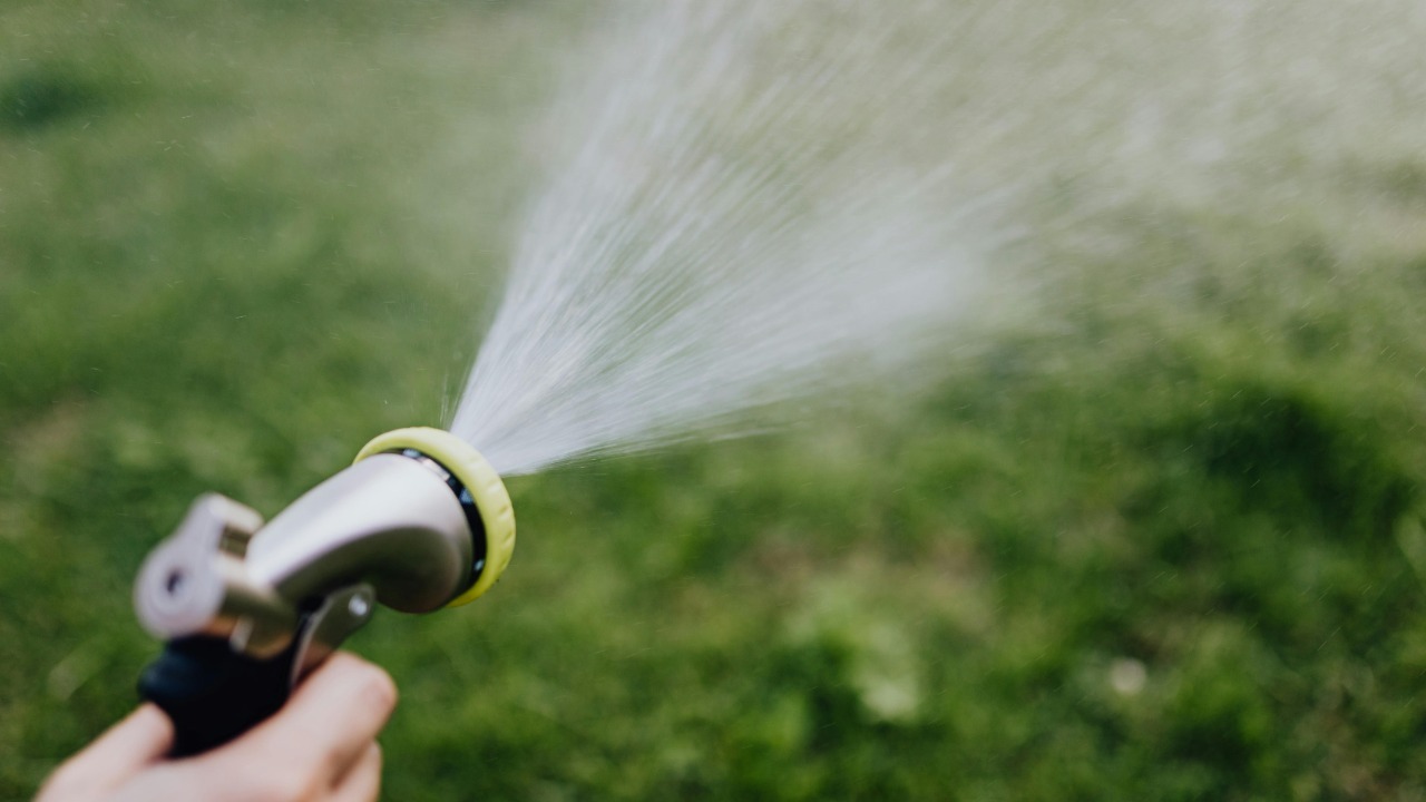 Photo By: Kaboompics.com/Pexels
