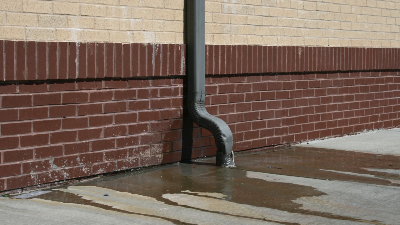 Image Credit: Ildar Sagdejev (Specious) - CC BY-SA 4.0/Wiki Commons