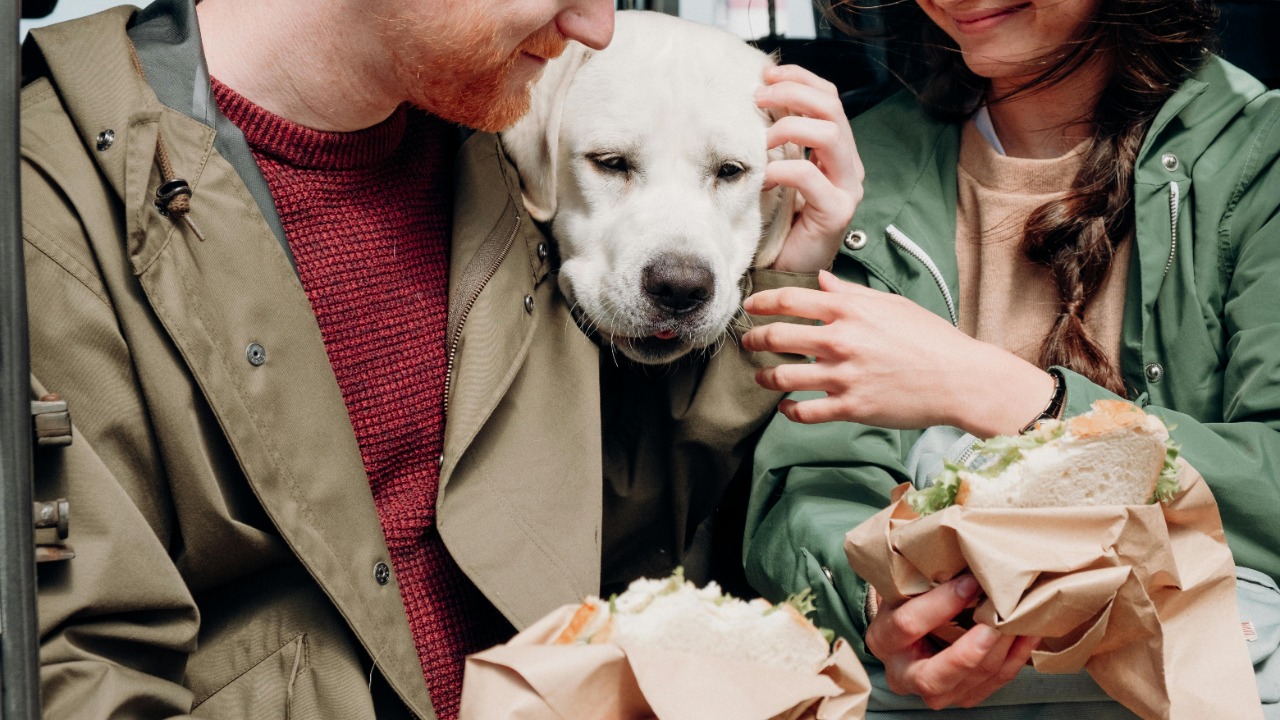 cottonbro studio/Pexels