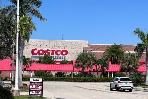 Image Credit: Chasetheg - CC BY-SA 4.0/Wiki Commons