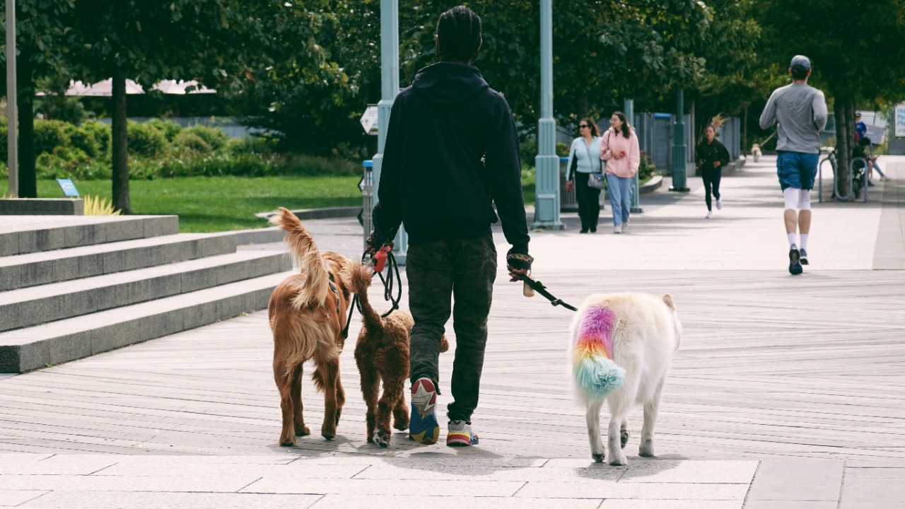 marsha_reid/Unsplash