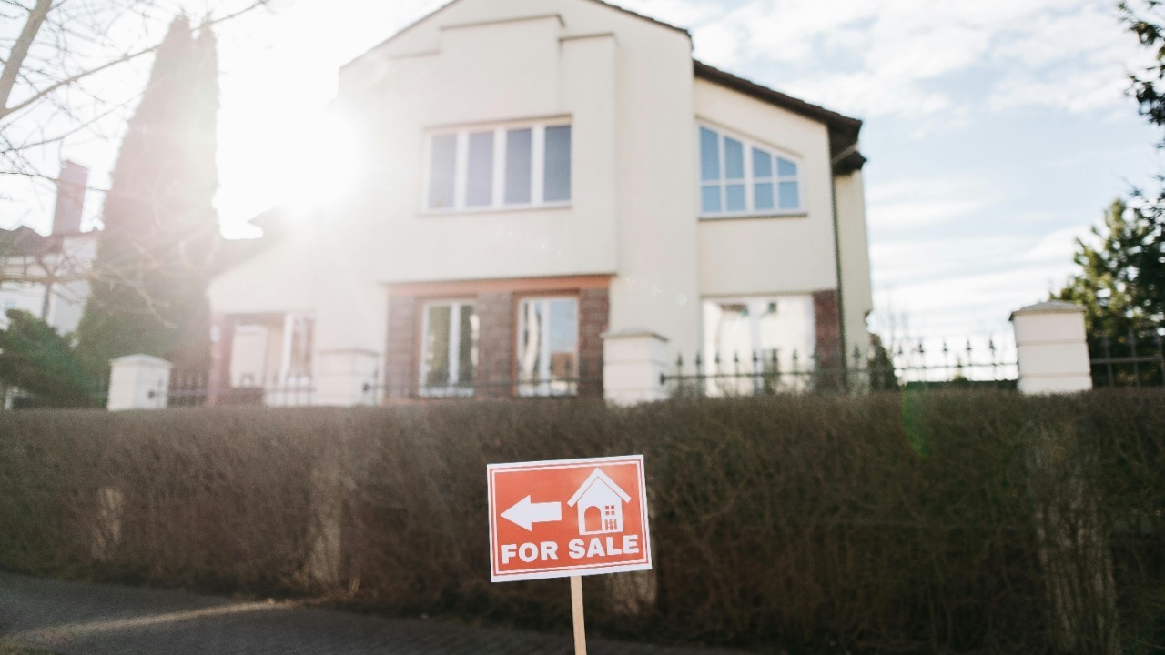 Pavel Danilyuk/Pexels
