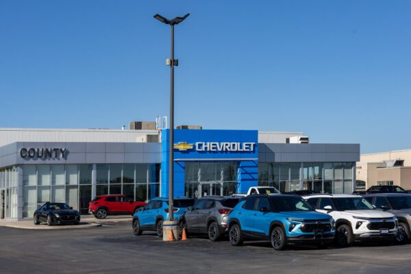 Image Credit: Chris Woodrich - Own work, CC BY-SA 4.0/Wiki Commons