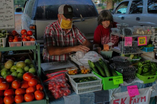 commonboxturtle/Unsplash