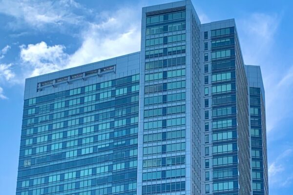 Image Credit: Dead.rabbit - CC BY-SA 4.0/Wiki Commons