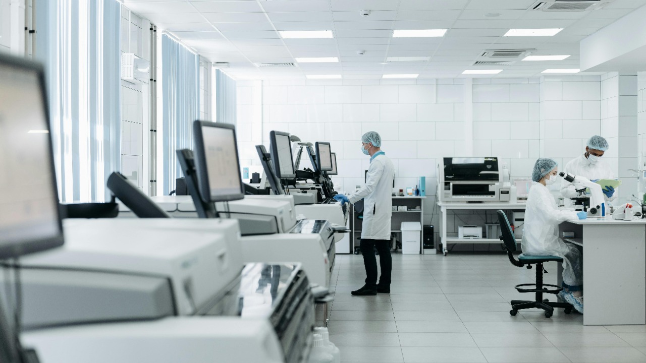 Pavel Danilyuk/Pexels