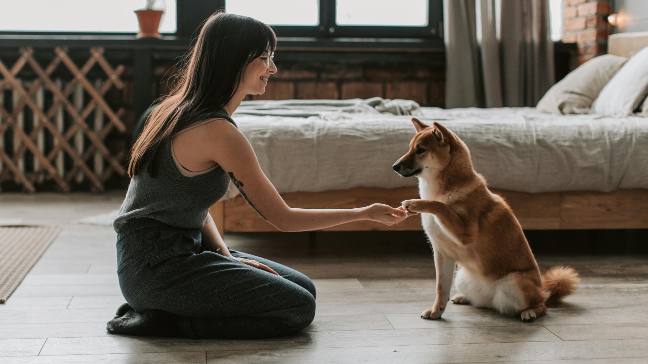 Vlada Karpovich/Pexels