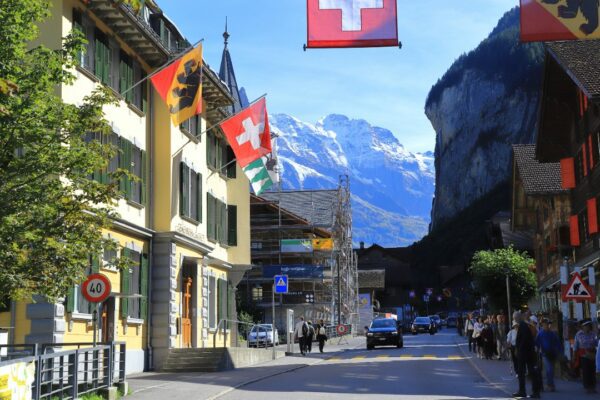 carpenterbees/Unsplash