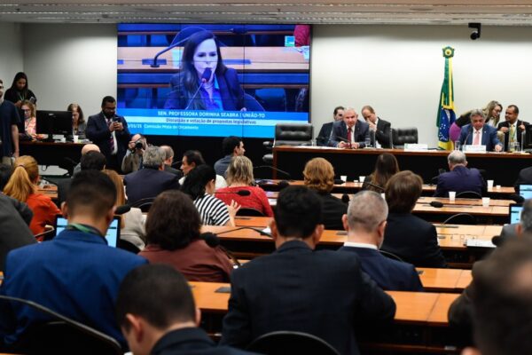 Image Credit: Senado Federal - CC BY 2.0/Wiki Commons