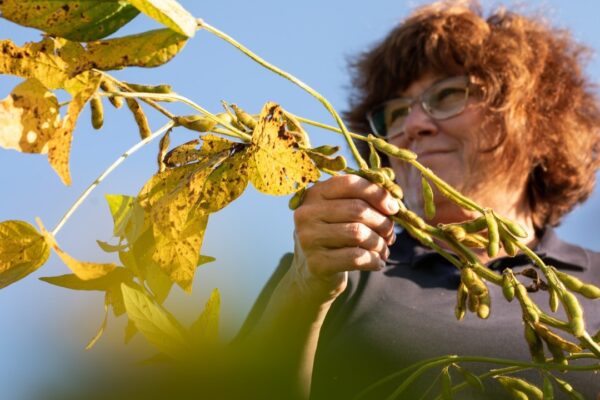 Image Credit: United Soybean Board – CC BY 2.0/Wiki Commons