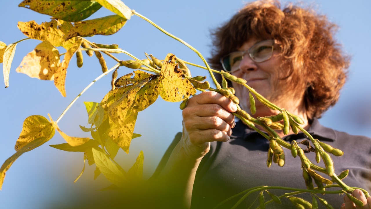 Image Credit: United Soybean Board – CC BY 2.0/Wiki Commons