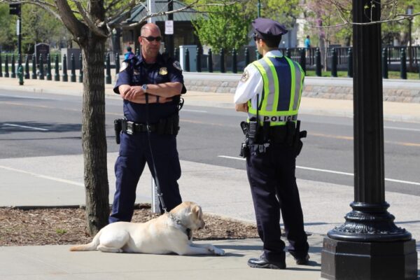 Image Credit: Alex Smith from Fort Collins, CO, United States - CC0/Wiki Commons