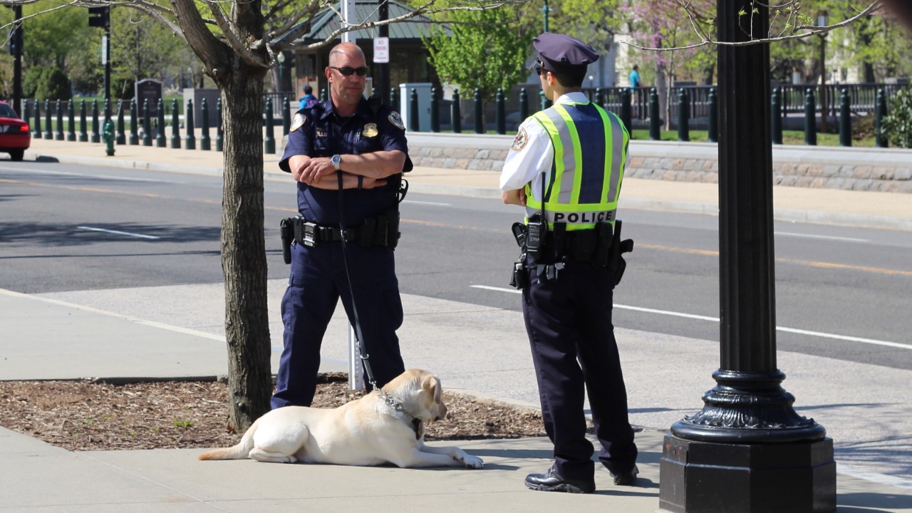 Image Credit: Alex Smith from Fort Collins, CO, United States - CC0/Wiki Commons