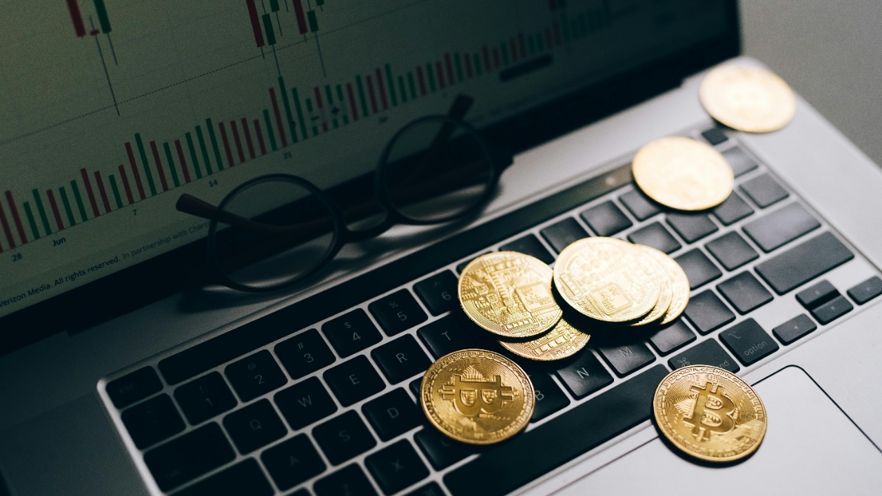 Leeloo The First/Pexels