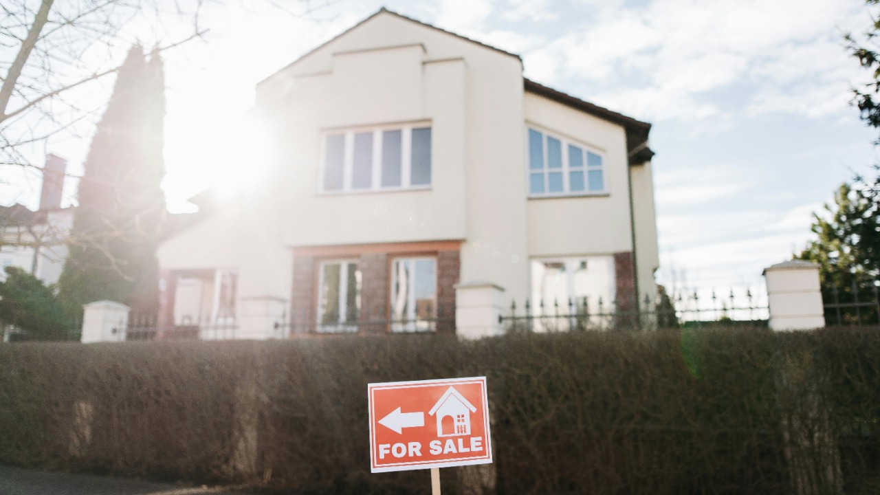 Pavel Danilyuk/Pexels