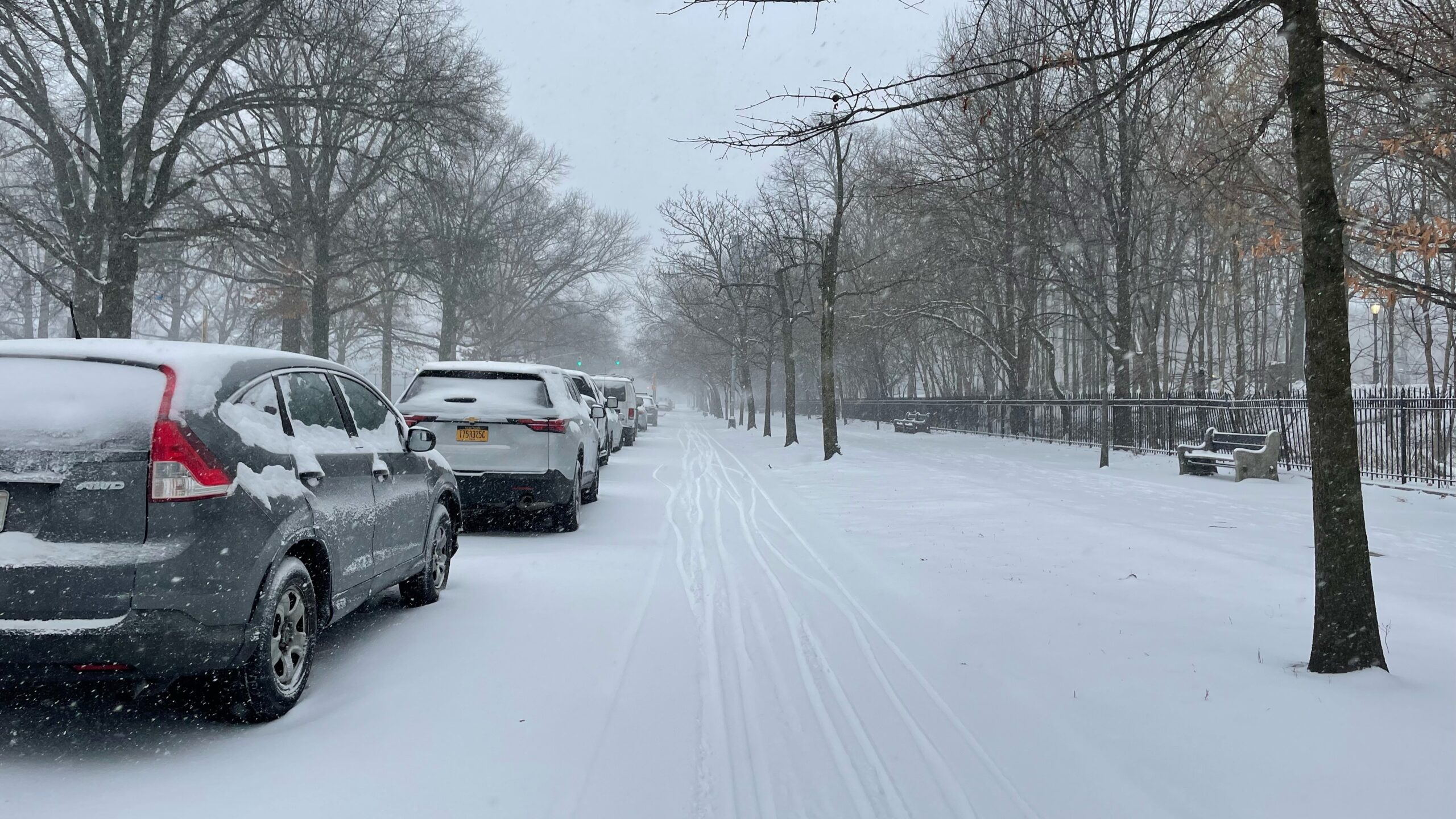 Jan 25 snowstorm 2026 Parkside Ave