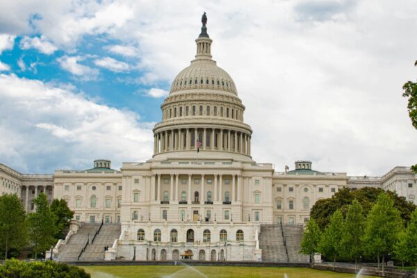 Paula Nardini/Pexels