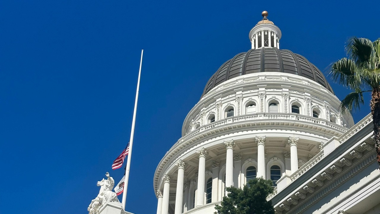 Daniel McGreevy/Pexels