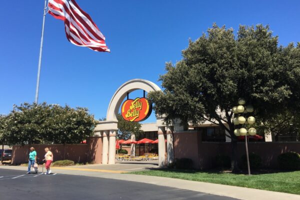 Image Credit: Kingofthedead - CC BY-SA 4.0/Wiki Commons