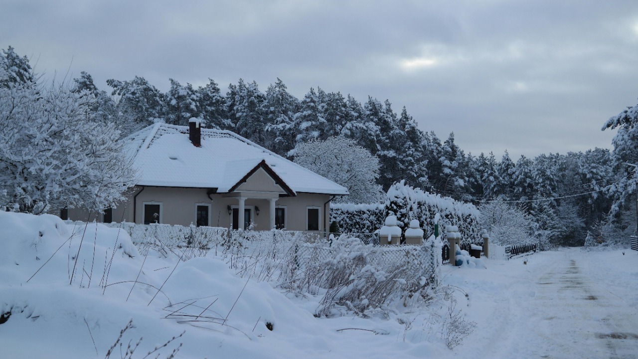 Roman Biernacki/Pexels