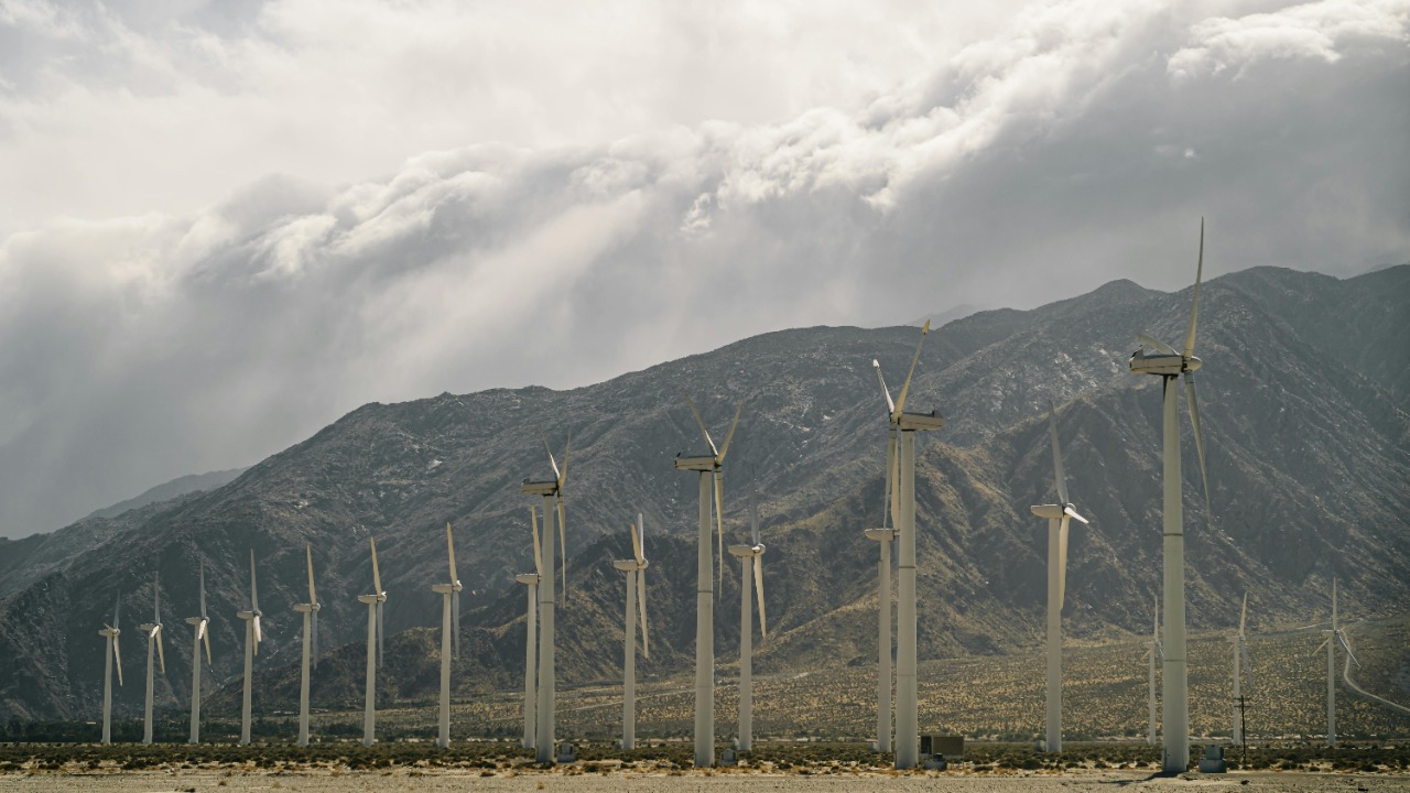 Ricky Esquivel/Pexels