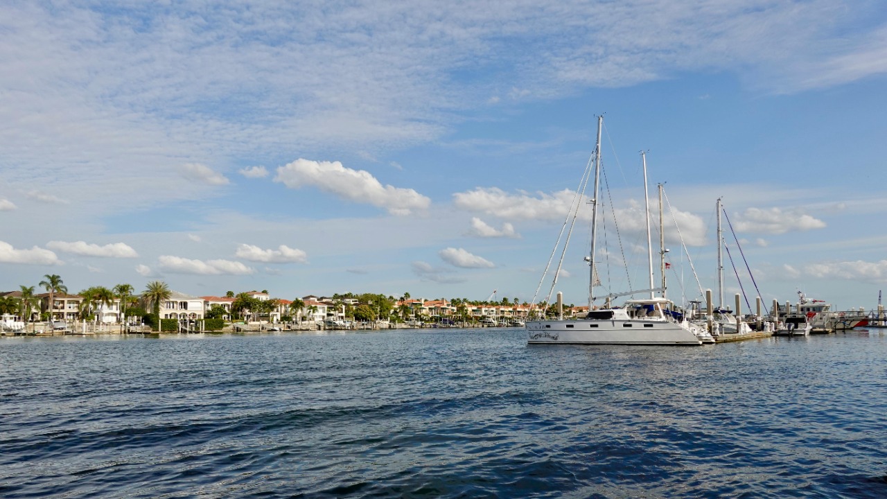 Nathan Rostampour/Pexels