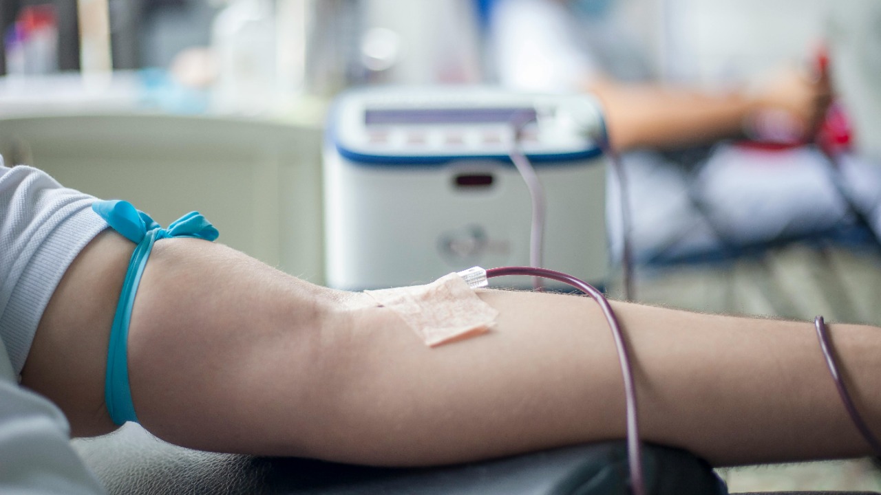 FRANK MERIÑO/Pexels