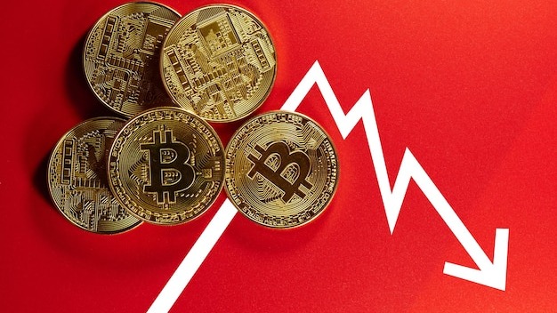 Physical golden coins of bitcoins on a red background, collage with the schedule. Digital cryptocurrency fall concept