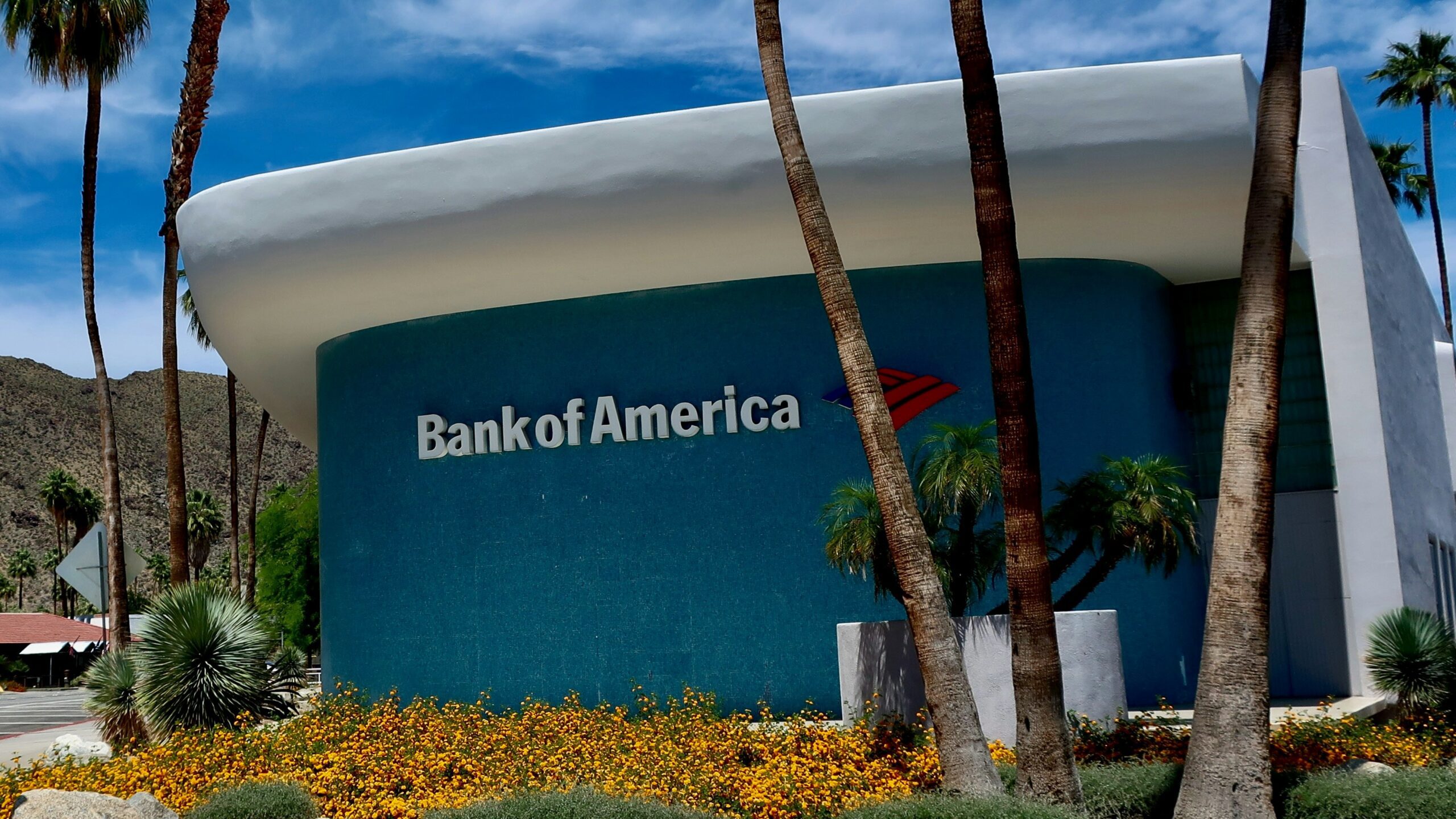 a bank of america building with palm trees in front of it