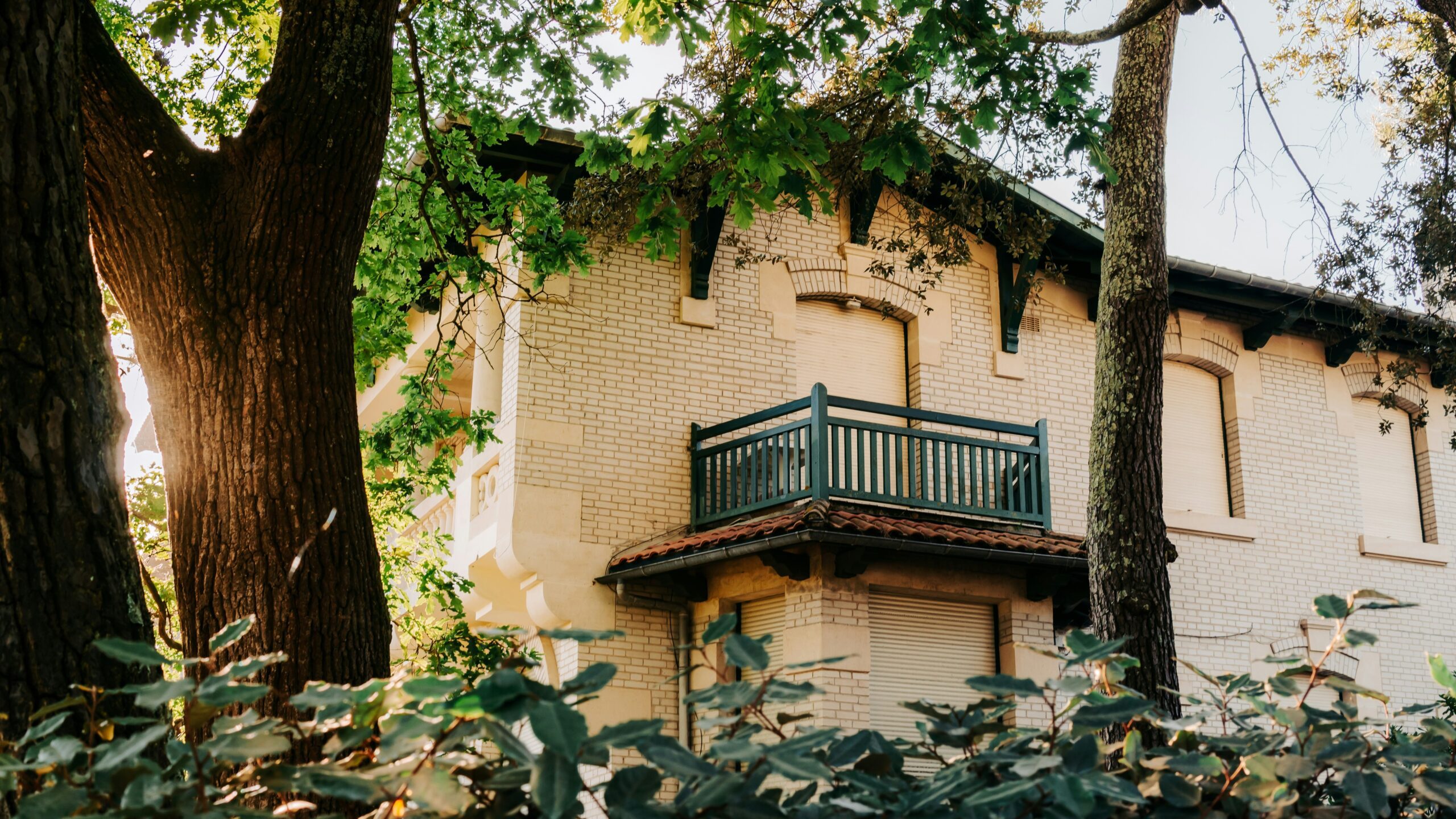 A house peeks through trees and foliage.
