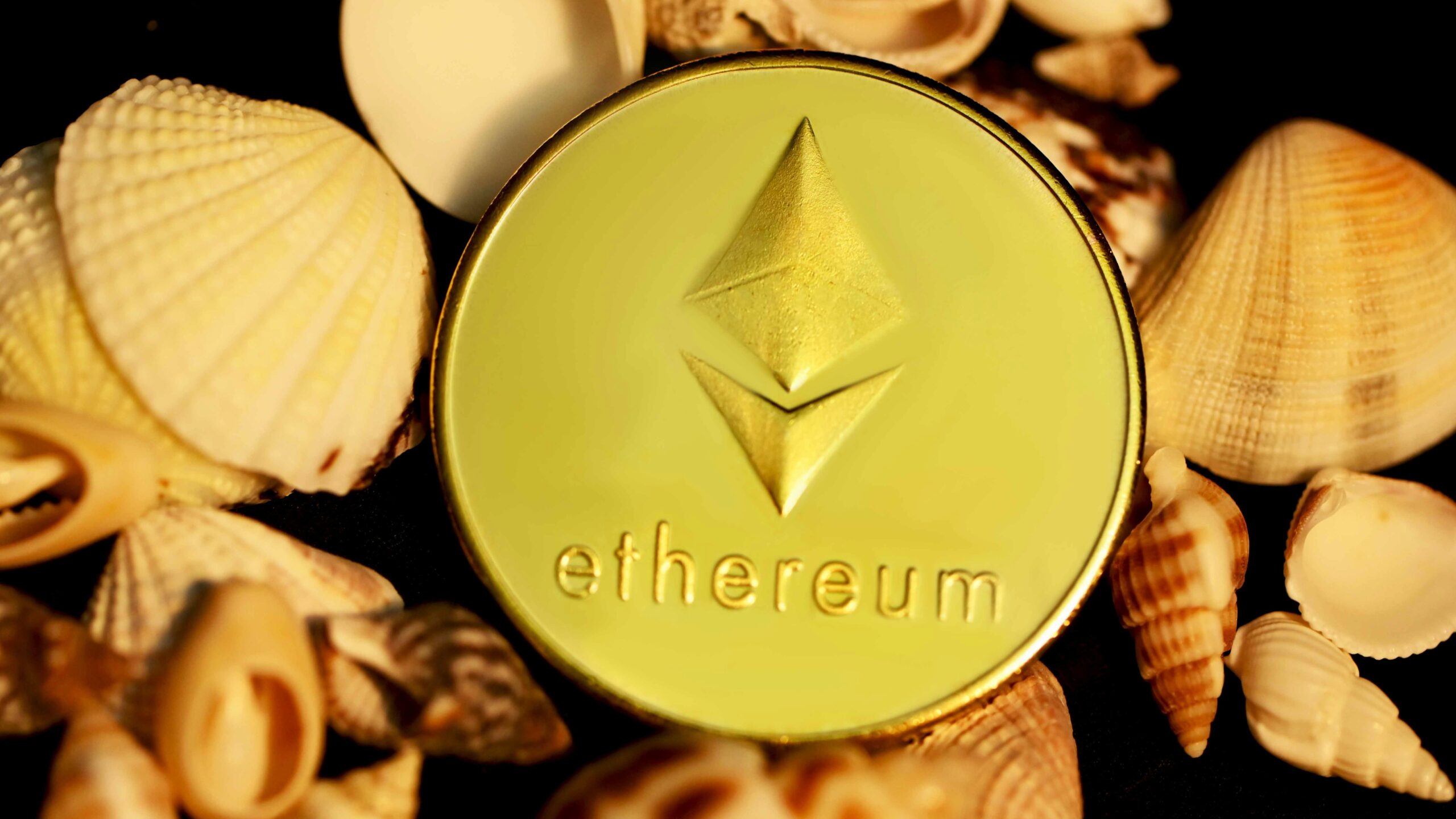 a gold ether coin surrounded by shells
