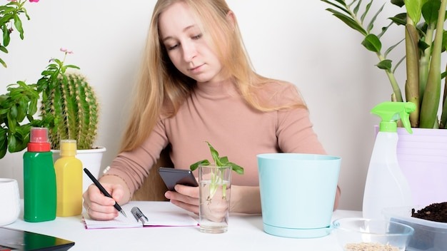 process of planting a houseplant by a woman in a pot for germination at home . process to take photos on your phone, online flower planting.