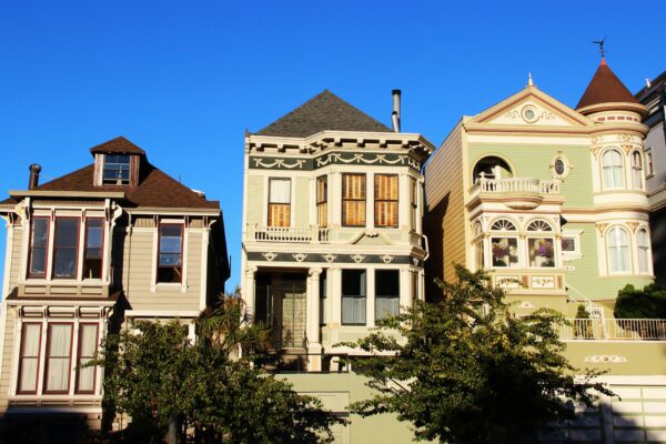 brown and green high-rise building beside tree